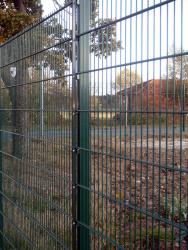 Doppelstabmatten 6/5/6 - 1630 mm Höhe 